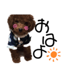 My name is Kuu..（個別スタンプ：1）
