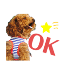 My name is Kuu..（個別スタンプ：5）