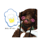 My name is Kuu..（個別スタンプ：6）