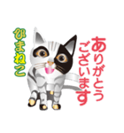 ひまねこ にゃん左衛門3（個別スタンプ：25）