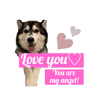 black ×white Siberian husky Berry（個別スタンプ：13）