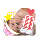えまの日常 2019（個別スタンプ：8）