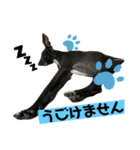 イタグレ菜々緒スタンプ（個別スタンプ：2）