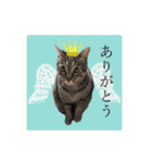 ホッコリフゥちゃん（個別スタンプ：5）