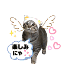 ホッコリフゥちゃん（個別スタンプ：16）