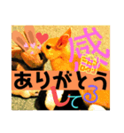 うさぎのせつめいやさん 日常のスタンプ（個別スタンプ：8）