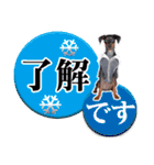 ミニチュアピンシャー 秋と冬（個別スタンプ：13）