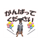ミニチュアピンシャー 秋と冬（個別スタンプ：16）