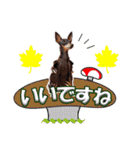 ミニチュアピンシャー 秋と冬（個別スタンプ：24）