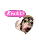 まるこ10（個別スタンプ：2）