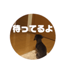 まるこ10（個別スタンプ：5）