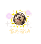 まるこ10（個別スタンプ：6）