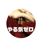まるこ10（個別スタンプ：7）