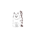 はかせの日常スタンプ（個別スタンプ：23）