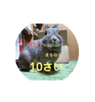 うさぎなのですよ（個別スタンプ：4）