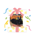 うさぎなのですよ（個別スタンプ：5）