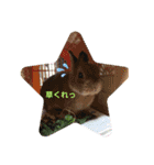 うさぎなのですよ（個別スタンプ：6）