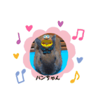 うさぎなのですよ（個別スタンプ：10）