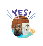 うさぎなのですよ（個別スタンプ：11）