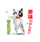 ひまねこ にゃん左衛門6（個別スタンプ：2）