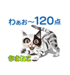 ひまねこ にゃん左衛門6（個別スタンプ：9）