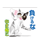 ひまねこ にゃん左衛門6（個別スタンプ：26）