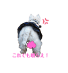 フロレベすたんぷ（個別スタンプ：11）