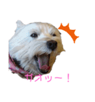 フロレベすたんぷ（個別スタンプ：13）