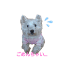 フロレベすたんぷ（個別スタンプ：19）