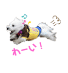 フロレベすたんぷ（個別スタンプ：24）