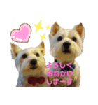 フロレベすたんぷ（個別スタンプ：34）