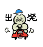 ネコのロクちゃん適度なコミュ力のスタンプ（個別スタンプ：1）