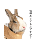 うさぎの（ モナカ おこげ コメコ こむぎ）（個別スタンプ：7）