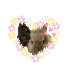 うさぎの（ モナカ おこげ コメコ こむぎ）（個別スタンプ：9）