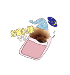 世界一かわいいもこちゃん♡（個別スタンプ：2）