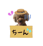 世界一かわいいもこちゃん♡（個別スタンプ：3）