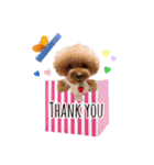 世界一かわいいもこちゃん♡（個別スタンプ：12）