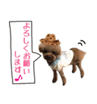 世界一かわいいもこちゃん♡（個別スタンプ：13）