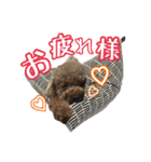 世界一かわいいもこちゃん♡（個別スタンプ：15）