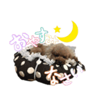 世界一かわいいもこちゃん♡（個別スタンプ：16）