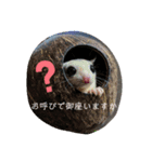うちのモモンガvol．2（個別スタンプ：6）