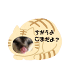うちのモモンガvol．2（個別スタンプ：7）