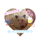 こじろうくんの日常♡（個別スタンプ：3）