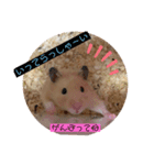 こじろうくんの日常♡（個別スタンプ：4）