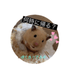 こじろうくんの日常♡（個別スタンプ：6）