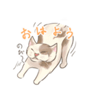 糸目のゆるふわねこちゃん（個別スタンプ：1）