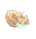 糸目のゆるふわねこちゃん（個別スタンプ：4）