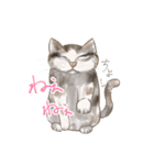 糸目のゆるふわねこちゃん（個別スタンプ：5）