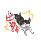 糸目のゆるふわねこちゃん（個別スタンプ：8）