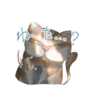 糸目のゆるふわねこちゃん（個別スタンプ：13）
